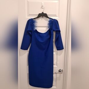 Elegant Cobalt Blue Long Sleeve Dress with Feather accents at Top